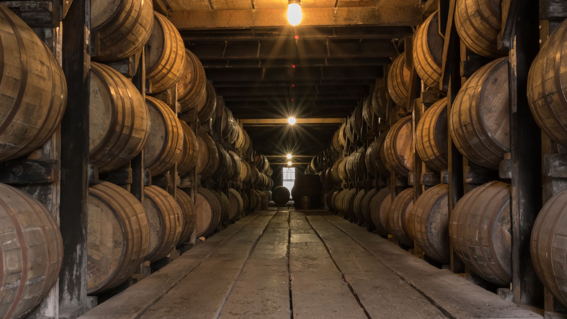 row of barrels aging alcohol