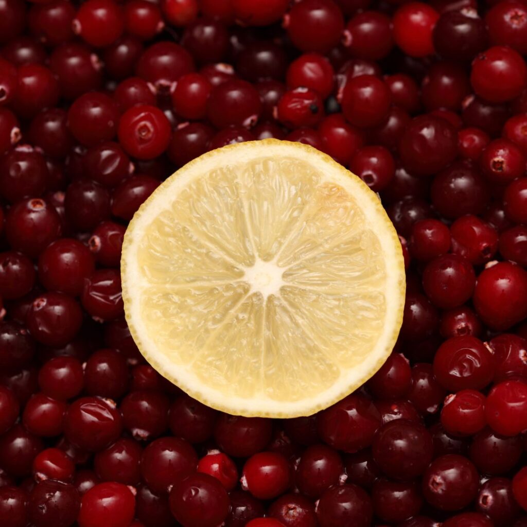 Lemon slice over cranberries